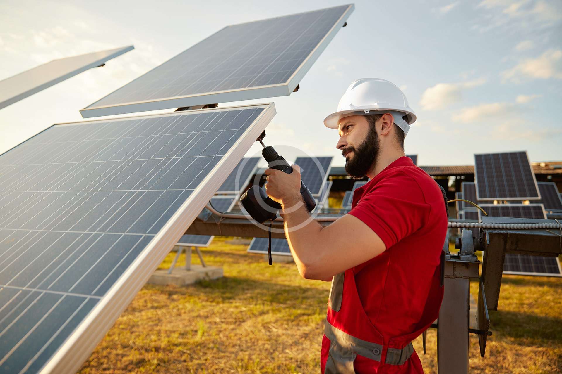 Solar Farm Life